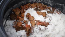 Lactarius Salmuerado Vicpal EIRL Chile